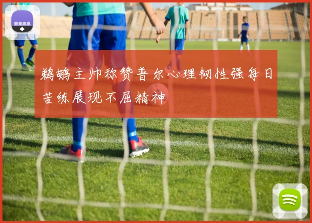 鹈鹕主帅称赞普尔心理韧性强每日苦练展现不屈精神
