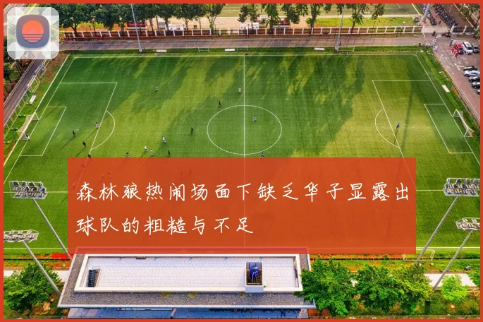 森林狼热闹场面下缺乏华子显露出球队的粗糙与不足